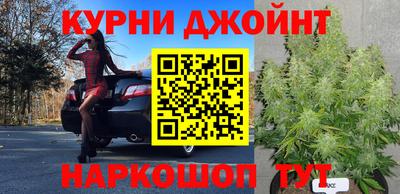 молекула духа Коммунар