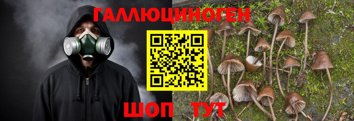 Котлас  Галлюциногенные грибы прущие грибы  Вход с VPN  Галлюциногенные грибы ЛСД 