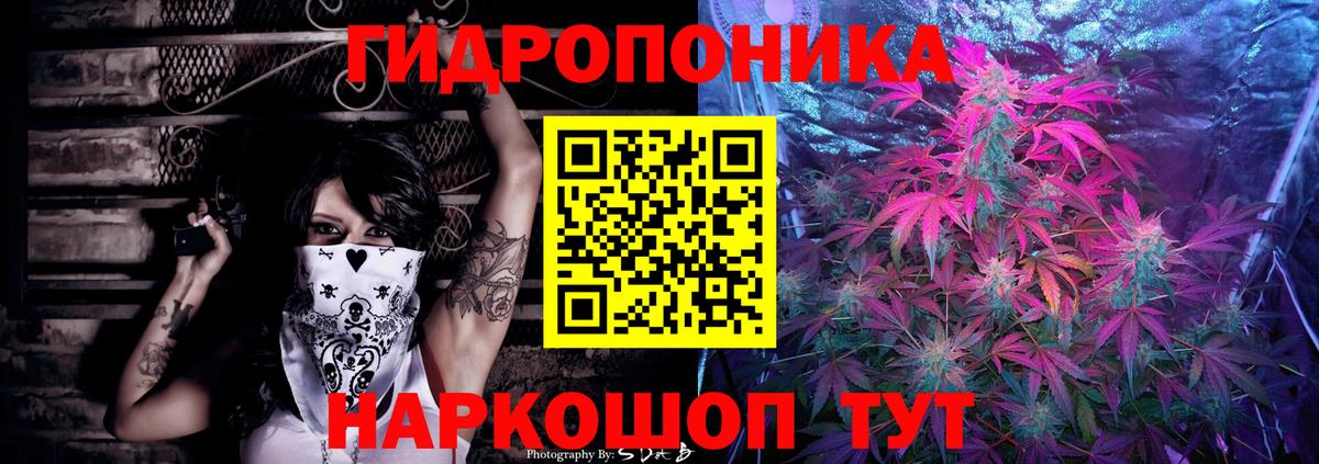 Шишки марихуана индика Котлас